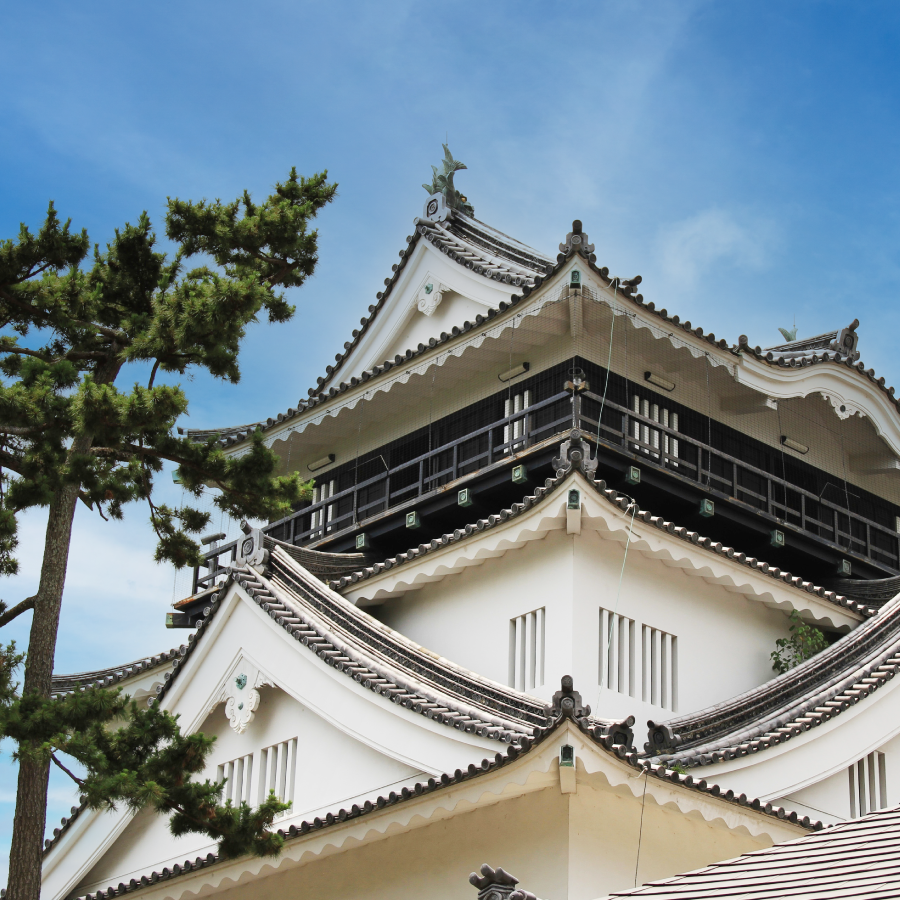 地域密着のサポート力