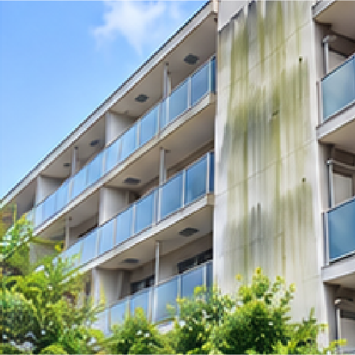 マンション外壁の緑汚れ